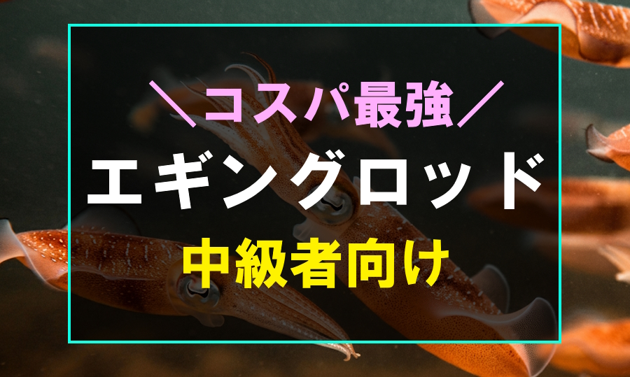 中級者におすすめのコスパ最強エギングロッド