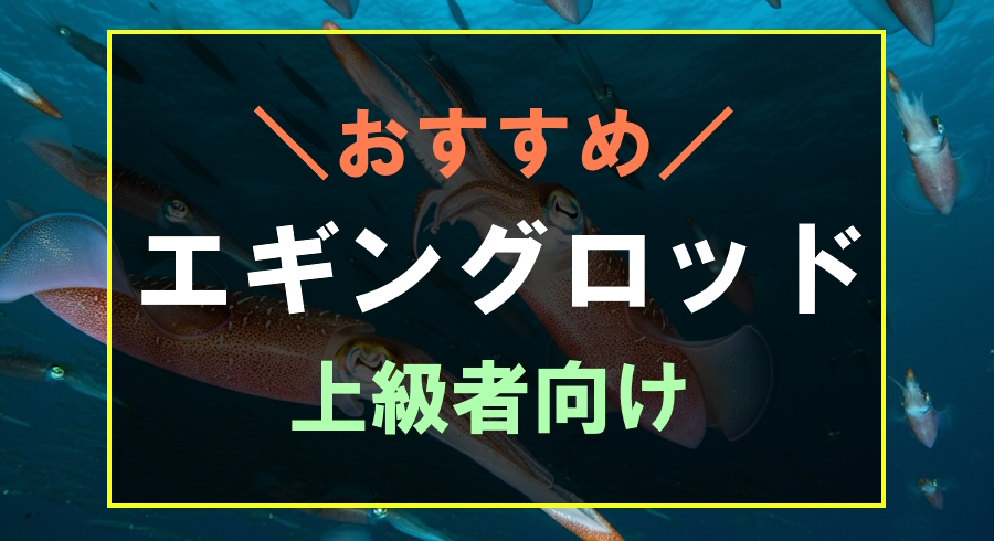 上級者】コスパ最強のおすすめエギングロッド5選！最強のエギングロッドはこれだ | フィッシュリウム