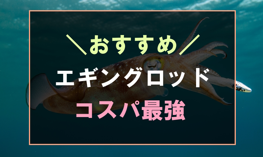 ランキング】コスパ最強のおすすめエギングロッド10選！感度のいい万能ロッド | フィッシュリウム