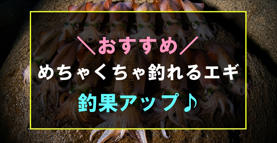 めちゃくちゃ釣れるおすすめの最強エギ