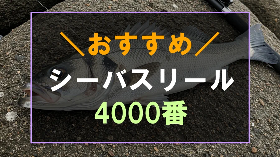 おすすめの4000番シーバスリール