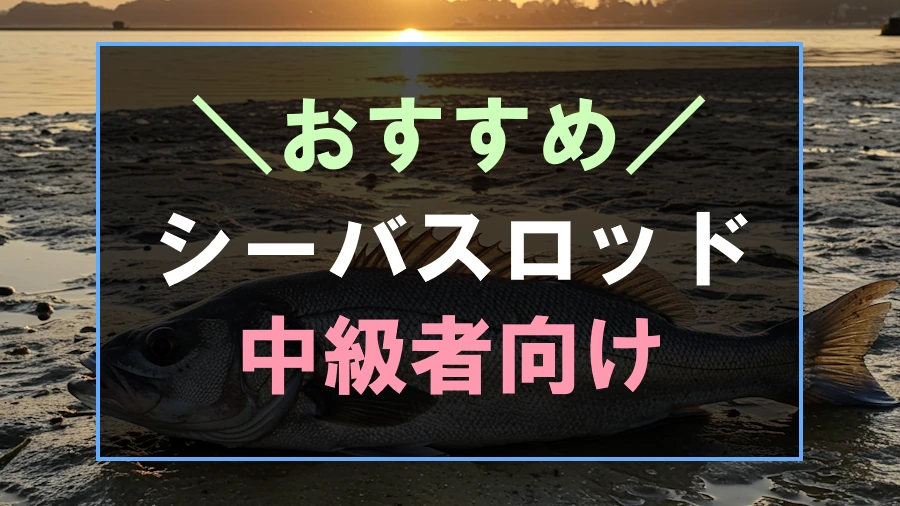 中級者におすすめなシーバスロッド