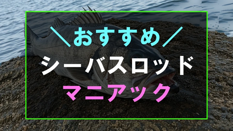 マニアックでおすすめなシーバスロッド