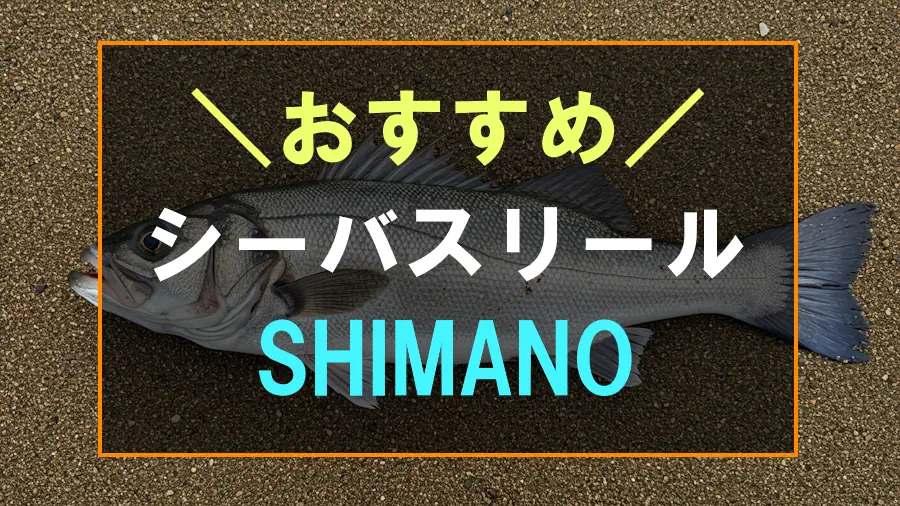 シマノのおすすめシーバスリール