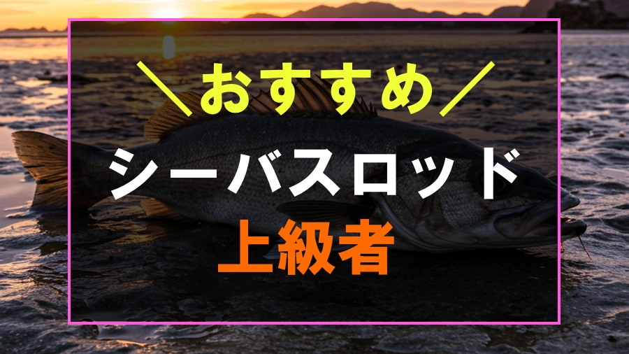 上級者におすすめなシーバスロッド